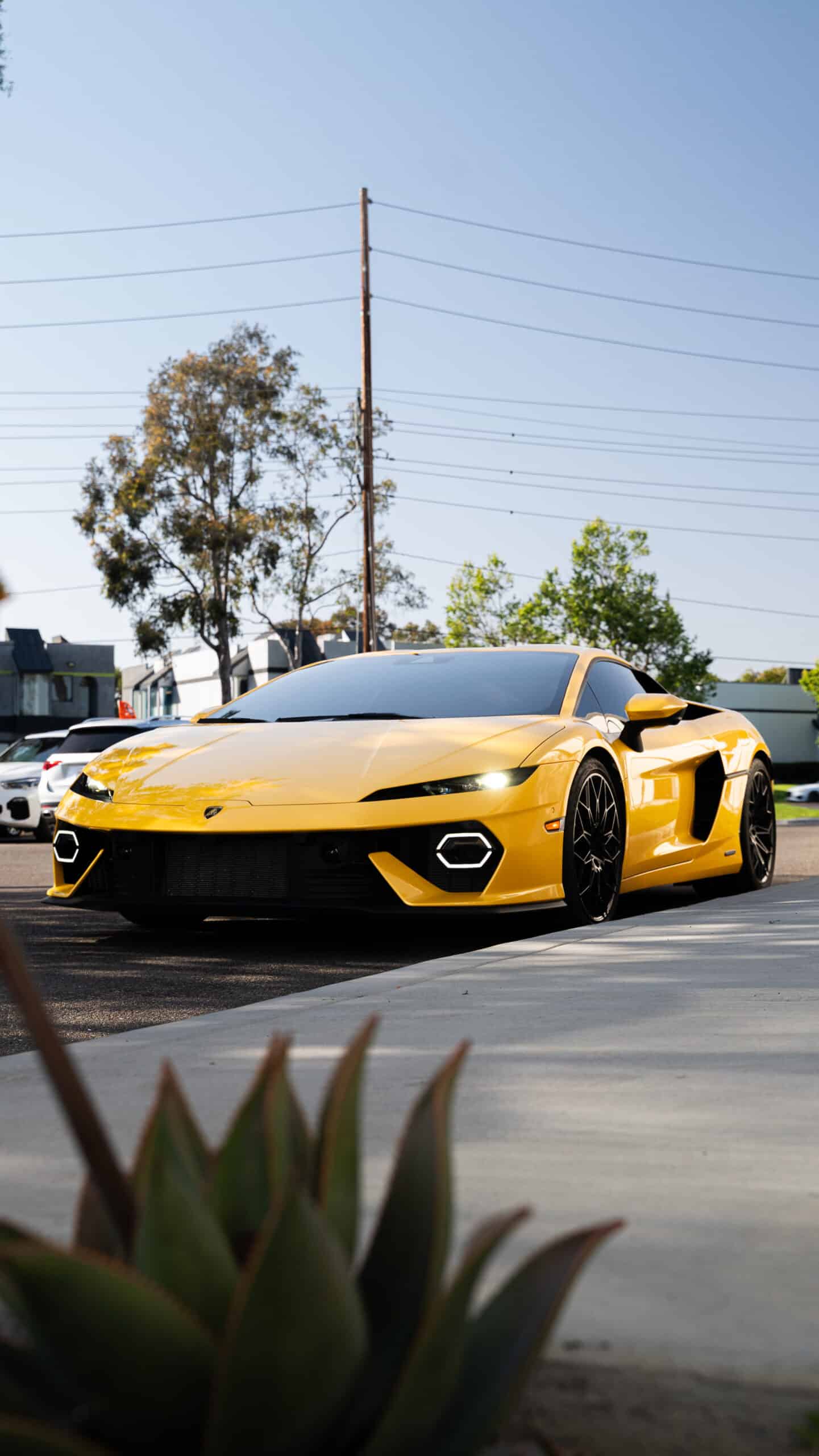 What Is Paint Protection Film? (And Is It Worth It in 2026?)